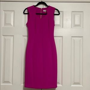 Calvin Klein Scuba Dress